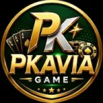 PKAVIA GAMES
