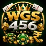 wgs456 game