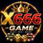 x666